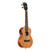 James Hill Signature All Solid Mahogany Concert Ukulele w/ EQ