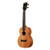 James Hill Solid Top Mahogany Concert Ukulele w/ Gig Bag