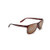 Pailolo Polarized Sunglasses Matte Tortoise Frame HCL Bronze Lens