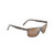 Anemone Polarized Sunglasses Brushed Chocolate Frame HCL Bronze Lens