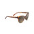 Olu'Olu Polarized Sunglasses  Tortoise Frame  HCL Bronze Lens