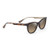 Lonomea Polarized Sunglasses Shiny Dark Havana Frame HCL Bronze Lens