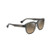 Akahai AF Polarized Sunglasses Shiny Trans Dark Gray Frame HCL Bronze Lens