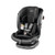 Primo Viaggio All in One Convertible Car Seat Licorice
