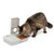 Automatic 2 Meal Pet Feeder