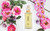 RASASI SAFINA EDP 100 ML U