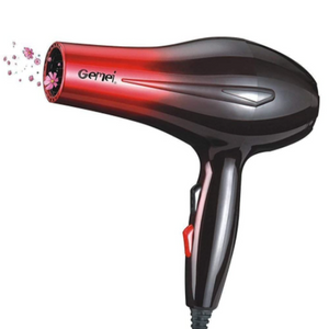 Professional Hair Dryer Gemei GM-1719 Professional Hair Dryer Gemei GM-1719