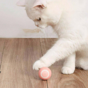An Intelligent Rolling Ball Designed Specifically For Cats, Equipped With Smart Chip To Automatically Roll www.dazzool.com