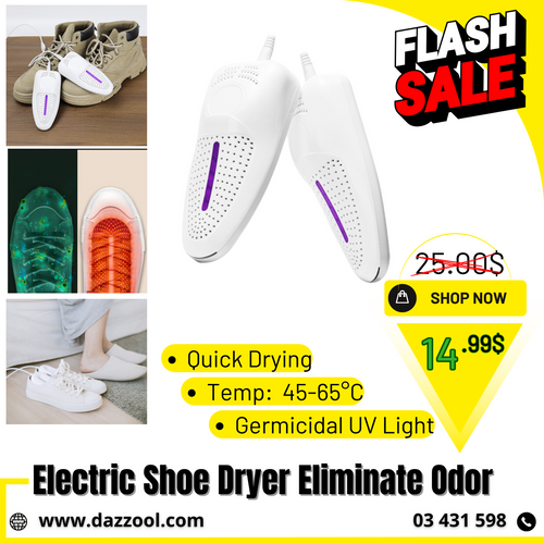 Portable Electric Shoe Dryer-dazzool.com