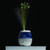Vicks Sweet Dreams Cool Mist Humidifier VUL575 Made in Germany - DaZzoOL