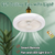 Fan Lamp Ceiling,Ceiling Lamp with Remote Control Ceiling Fan for Bedroom Kitchen, 3, LED Dimmable Low Profile Ceiling Fans with Remote Control 3 Speeds, Timing, Light Fixture-dazzool.com