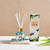 Aromatherapy Reed Diffuser 50ml-dazzool.com