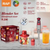 RAF 4-in-1 Hand Blender Set 1000W R.296-dazzool.com RAF 4-in-1 Hand Blender Set 1000W R.296-dazzool.com