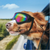Dog Goggles, Made Of ABS Material, Suitable For Pets Outdoor Anti-Wind And UV Protection www.dazzool.com