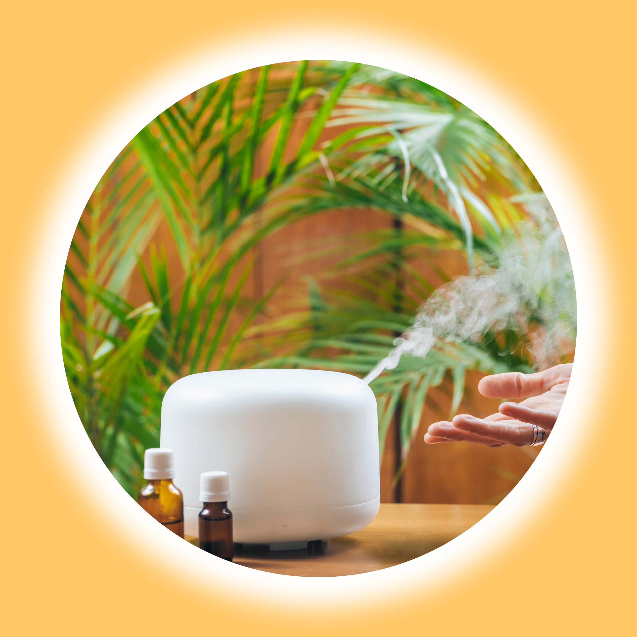 humidifier essential oils diffuser odor