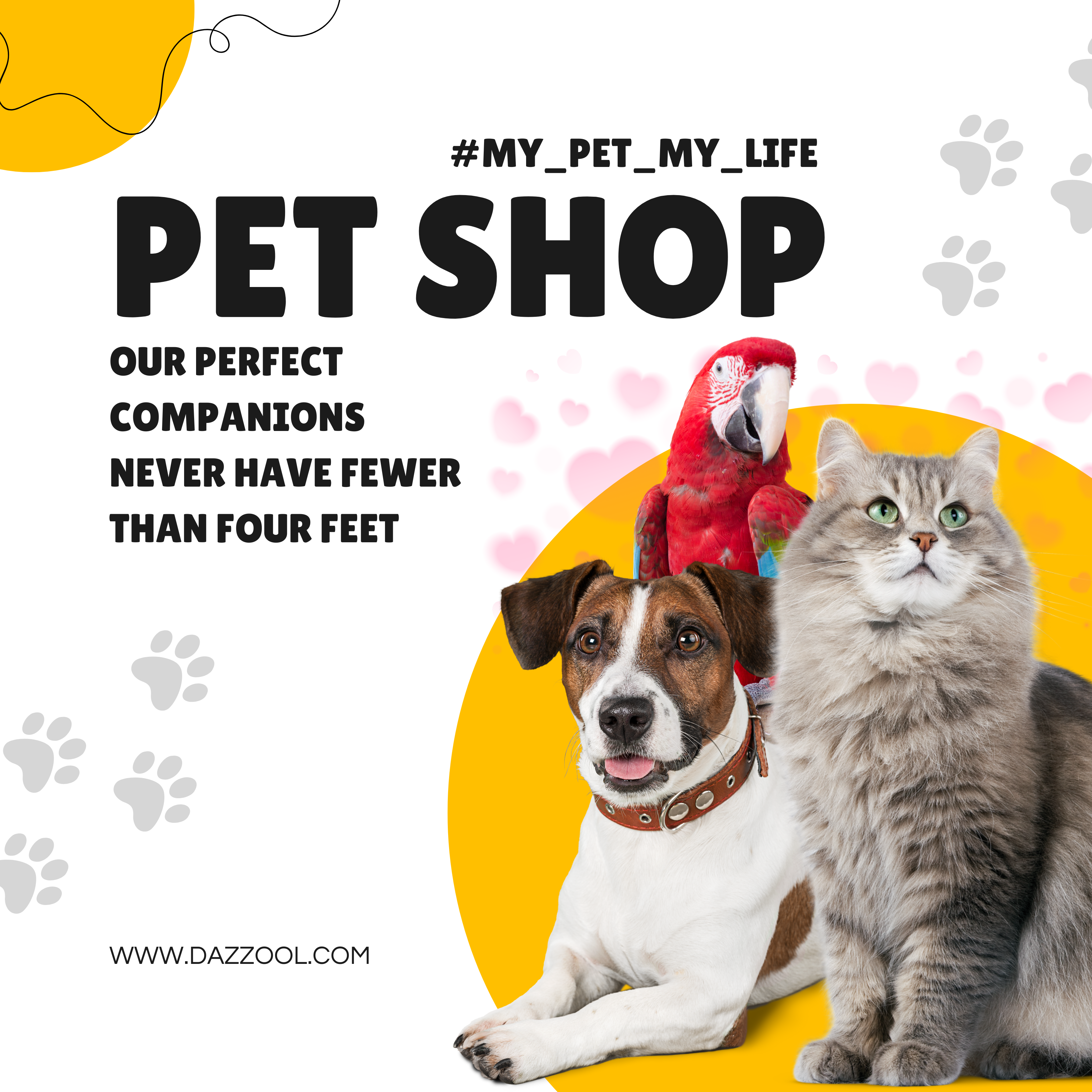Pet bird cat parot products for sale in Lebanon by dazzool.com