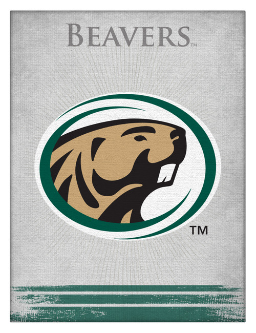 Bemidji State Canvas Art w/ Beavers Logo Print
