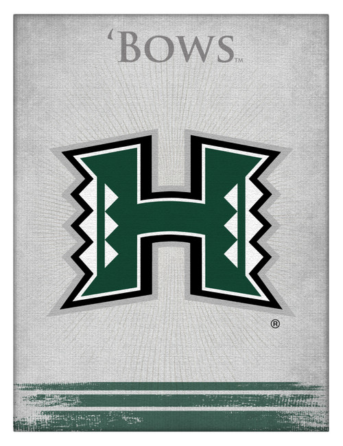 Hawaii Canvas Art w/ Rainbow Warriors Logo