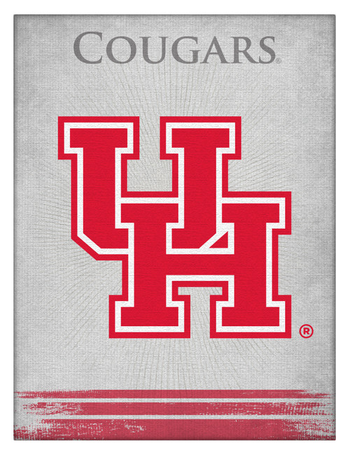 Houston Canvas Art w/ Cougars Logo