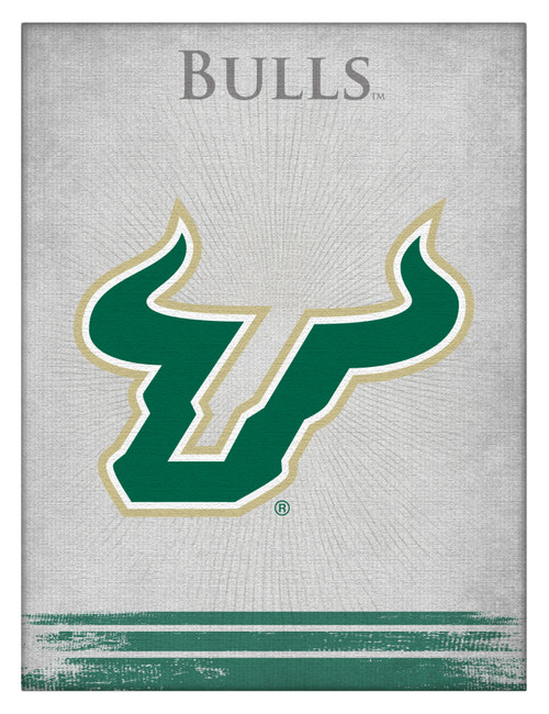 South Florida Canvas Art w/ Bulls Logo