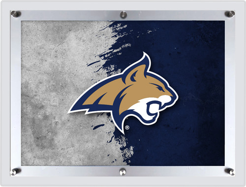 Montana State University Backlit LED Sign