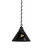 Anaheim Billiard Light w/ Ducks Logo - Pendant (Black) Image 1