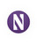 Northwestern Wildcats Bar Stool Cover