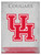 Houston Canvas Art w/ Cougars Logo
