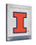Illinois Canvas Art w/ Fighting Illini Logo Print