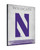 Northwestern Canvas Art w/ Wildcats Logo Print