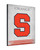 Syracuse Canvas Art w/ Orange Logo Print