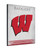 Wisconsin Canvas Art w/ Badgers 'W' Logo Print