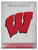 Wisconsin Canvas Art w/ Badgers 'W' Logo Print