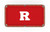 Rutgers University Pool Table Cloth by Hainsworth