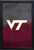 Virginia Tech University LED Snap Frame Lightbox