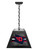 University of Dayton Pendant Box Light