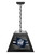 Georgetown University Pendant Box Light