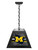 University of Michigan Pendant Box Light