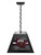 University of Montana Pendant Box Light
