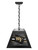 Wake Forest University Pendant Box Light