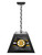 Boston Bruins Pendant Box Light