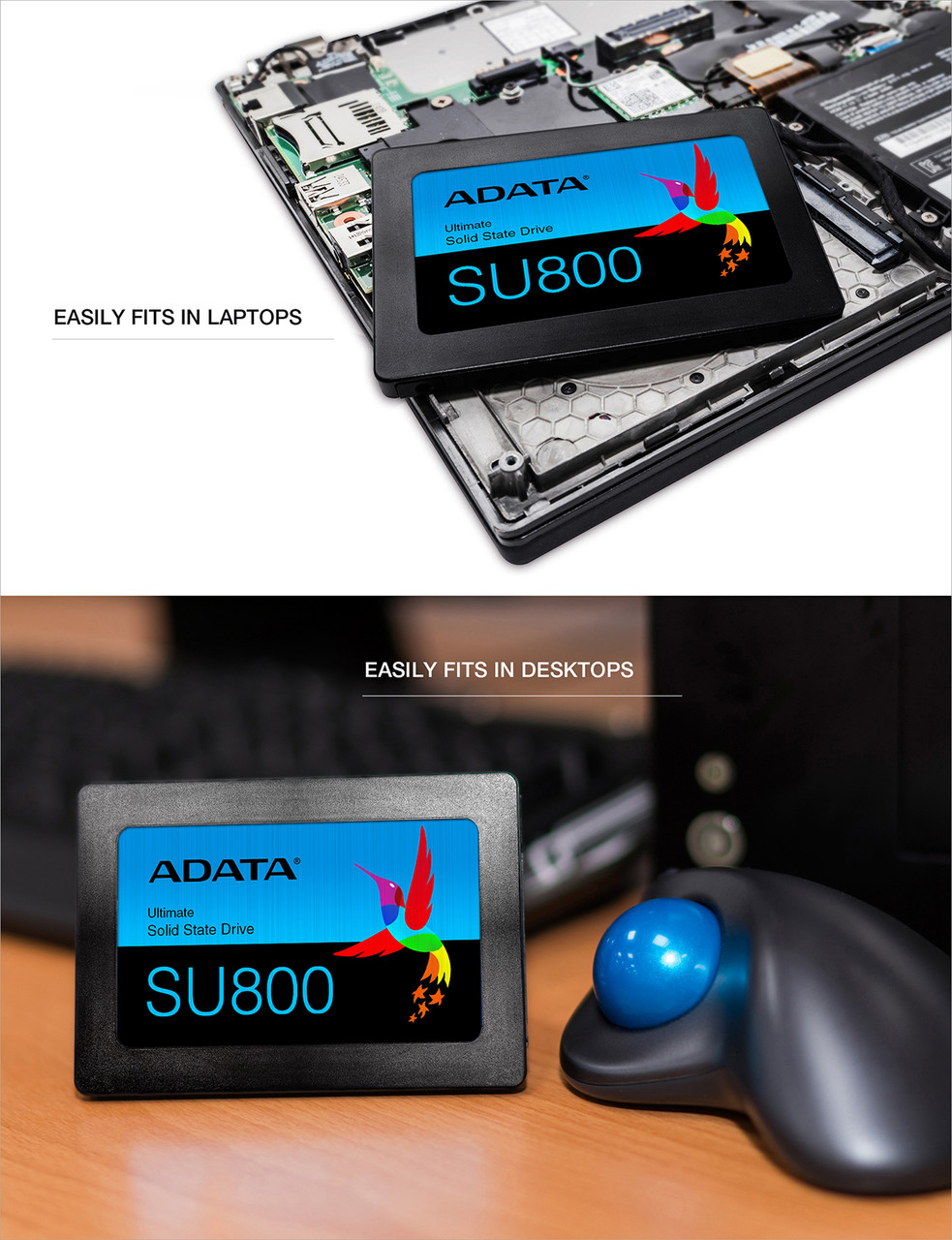 ADATA Ultimate Series: SU800 512GB SATA III - 2.5