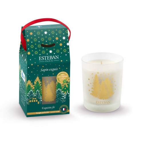 Vendita online candele profumate Yankee Candle, Maison Berger diffusori  profumo