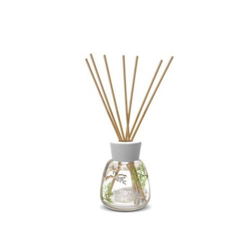bayside,cedar,yankee,profumazione,casa