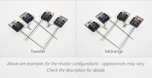 Resistors for the Alexandria X-2 Series 2