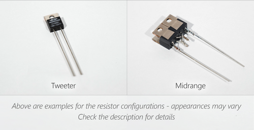 Resistors for the MAXX 1