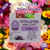 Faraway Farm Floral Lotsa Lather Mini Soaps - NEW