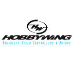 Hobby Wing