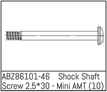 1:16 Mini AMT » Shock Shaft Screw 2.5*30 - Mini AMT (10)