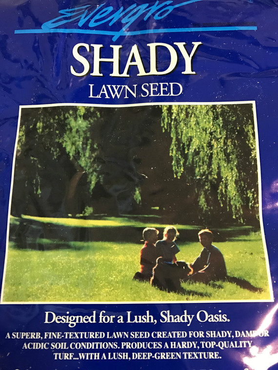 EVERGRO Shady grass seeds 1 kg.